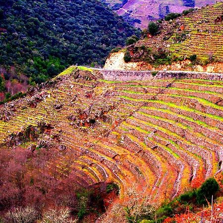 Castelodobispo - Ourense Sobrado del Obispo Bagian luar foto