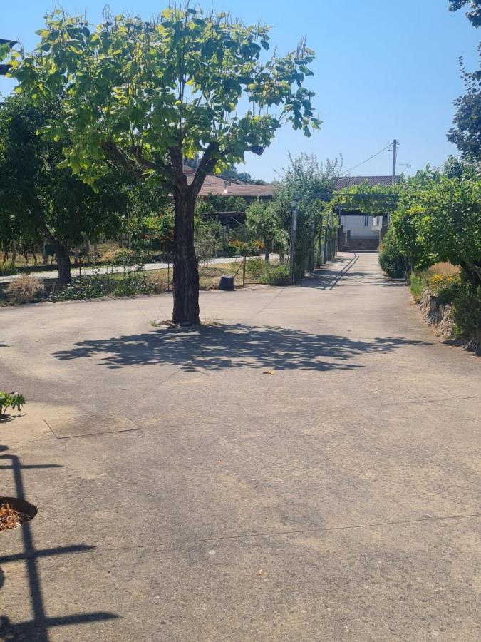 Castelodobispo - Ourense Sobrado del Obispo Bagian luar foto